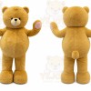 Brown Bear Mascot Costume for Children's Events