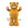 Brown Bear Mascot Costume for Children's Events Brown Bear Mascot Costume for Children's Events