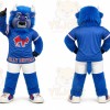 Blue Buffalo Mascot Costume for Sports Events