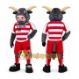 Gray Bull Mascot Costume for Sports Events