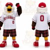 White Eagle Mascot Costume for Sports Events