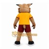 Brown Wildcat Mascot Costume for School Events Brown Wildcat Mascot Costume for School Events