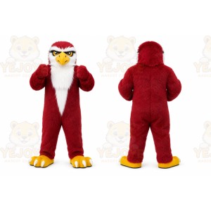 Red Eagle Mascot Costume for Sports Events