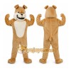 Brown Bulldog Mascot Costume for Sports Events Brown Bulldog Mascot Costume for Sports Events