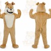 Brown Bulldog Mascot Costume for Sports Events