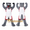 Gray Wolf Mascot Costume for Sports Events Gray Wolf Mascot Costume for Sports Events