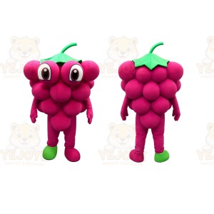 Pink Grape Cluster Mascot Costume for Events and Promotions
