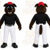 Brown Dog Mascot Costume for Events and Promotions
