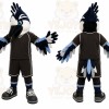 Black Bird Mascot Costume for Sports Events