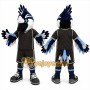 Black Bird Mascot Costume for Sports Events