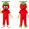 Red Strawberry Mascot Costume for Restaurant Promotions