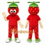 Red Strawberry Mascot Costume for Restaurant Promotions