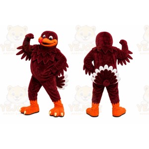 Red Bird Mascot Costume for Sports Events