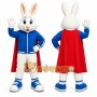 White Rabbit Mascot Costume for Children's Events