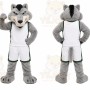 Gray Wolf Mascot Costume for Sports Events