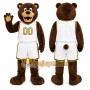 Brown Bear Mascot Costume for Sports Events