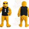 Yellow Bird Mascot Costume for Sports Events