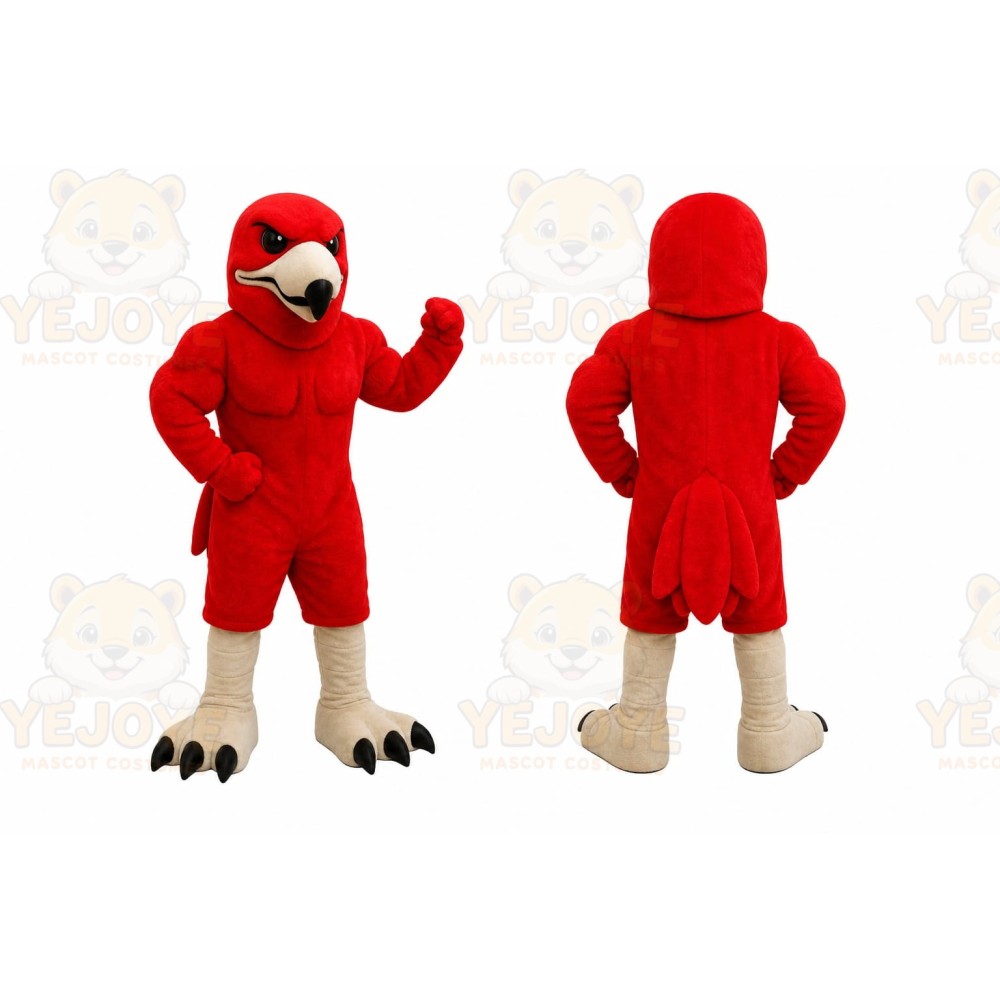 Red Bird Mascot Costume for Sports Events