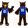 Brown Owl Mascot Costume for School Events