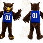 Brown Owl Mascot Costume for School Events