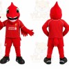 Red Bird Mascot Costume for Sports Events