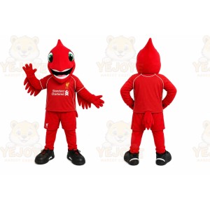 Red Bird Mascot Costume for Sports Events