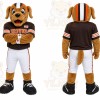 Brown Dog Mascot Costume for Sports Events