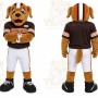 Brown Dog Mascot Costume for Sports Events