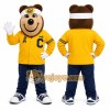 Yellow Bear Mascot Costume for Sports Events Yellow Bear Mascot Costume for Sports Events