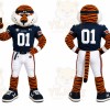Orange Tiger Mascot Costume for Sports Events