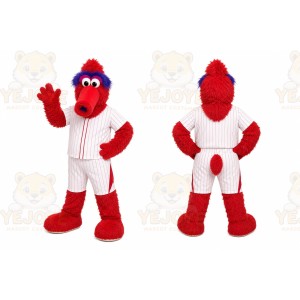 Red Bird Mascot Costume for Sports Events