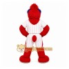 Red Bird Mascot Costume for Sports Events