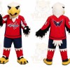 Red Eagle Mascot Costume for Sports Events