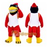 Red Bird Mascot Costume for Sports Events