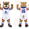 Brown Bear Mascot Costume for Sports Events