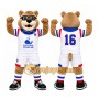 Brown Bear Mascot Costume for Sports Events