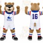 Brown Bear Mascot Costume for Sports Events