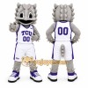 Gray Horned Lizard Mascot Costume for Sports Events Gray Horned Lizard Mascot Costume for Sports Events
