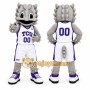 Gray Horned Lizard Mascot Costume for Sports Events