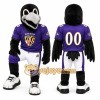 Black Bird Mascot Costume for Sports Events