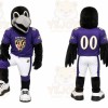 Black Bird Mascot Costume for Sports Events