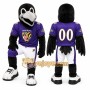 Black Bird Mascot Costume for Sports Events