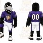 Black Bird Mascot Costume for Sports Events