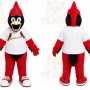 Red Bird Mascot Costume for Sports Events