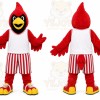 Red Cardinal Bird Mascot Costume for Sports Events