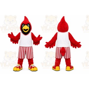 Red Cardinal Bird Mascot Costume for Sports Events