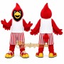 Red Cardinal Bird Mascot Costume for Sports Events