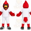Red Cardinal Bird Mascot Costume for Sports Events