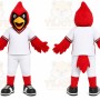 Red Cardinal Bird Mascot Costume for Sports Events