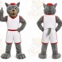 Gray Wolf Mascot Costume for Sports Events